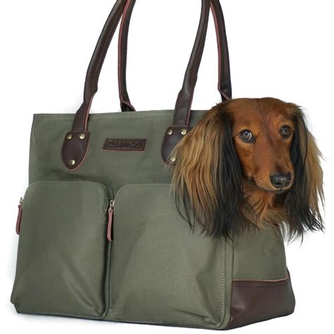 designer totes to carry dog.